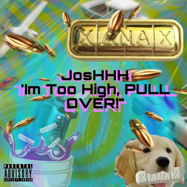 'Im Too High, PULL OVER'
