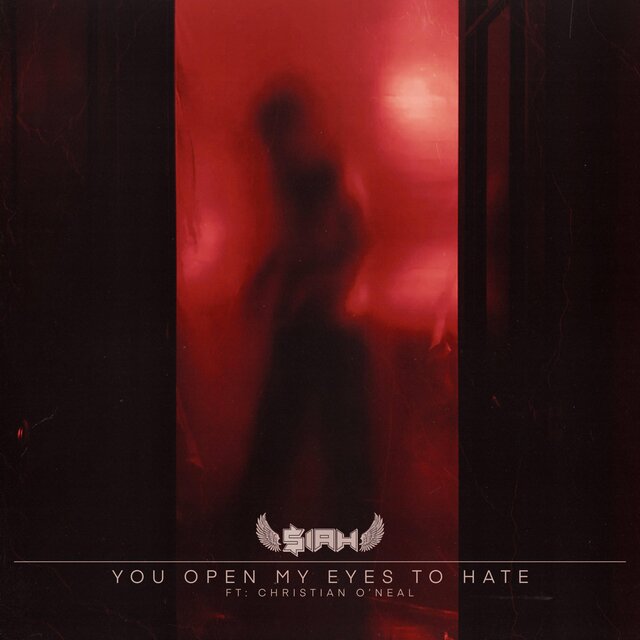 You open my eyes to hate (feat. Christian O’neal)