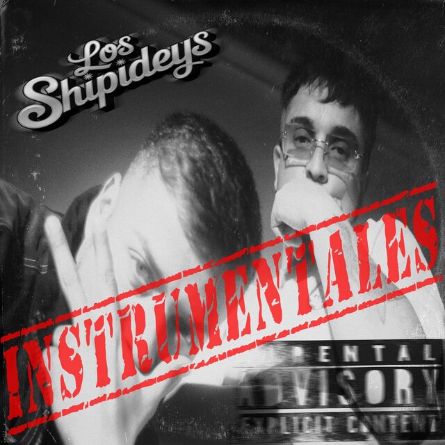 SHIPINSTRUMENTALES