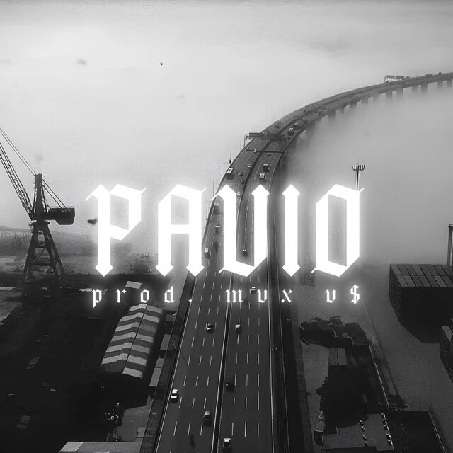PAVIO