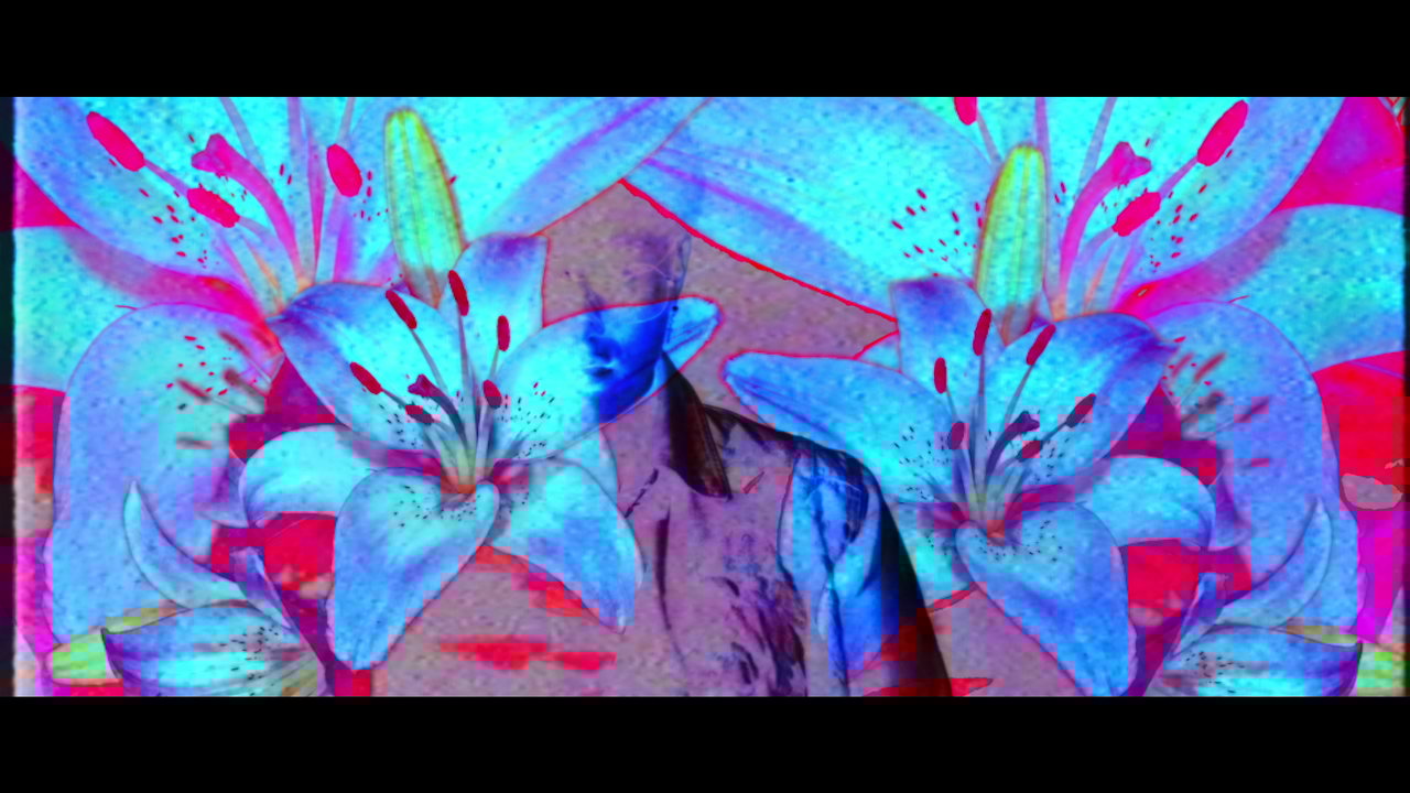 Wallflower