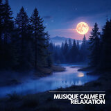 Musiques Douces pour se Reposer