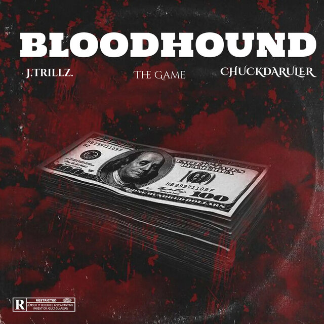 BLOODHOUND