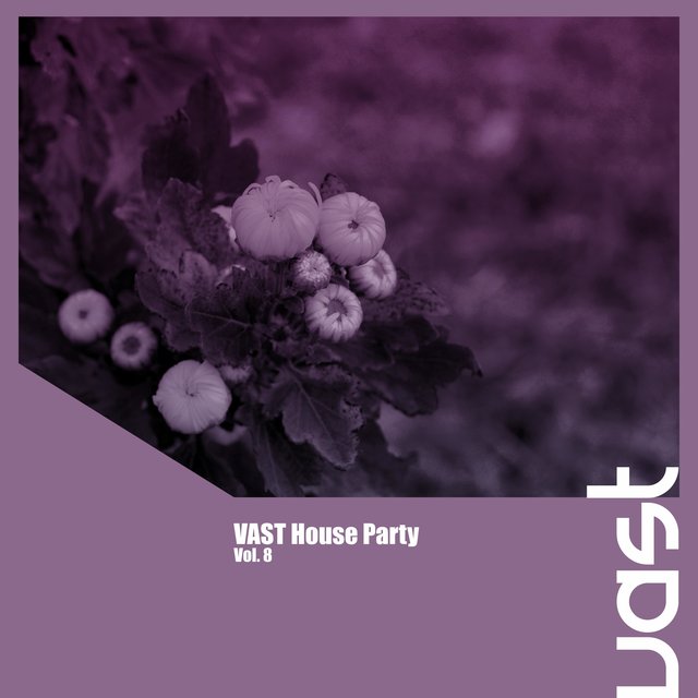 VAST House Party, Vol. 8