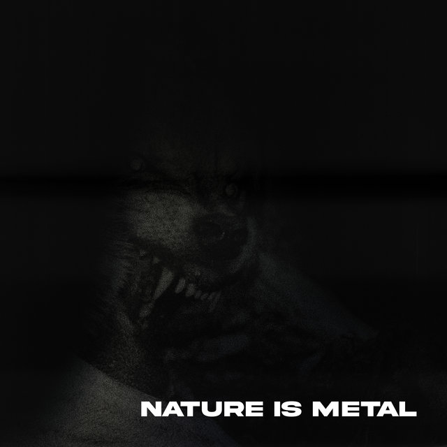 Nature Is Metal