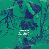 Mistletoe