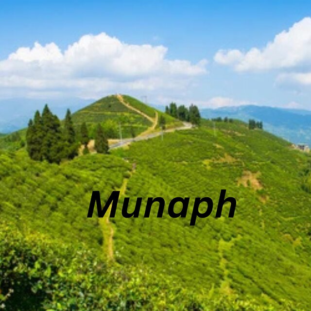 Munaph