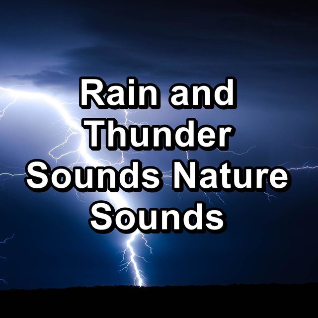 Rain and Thunder Sounds Nature Sounds