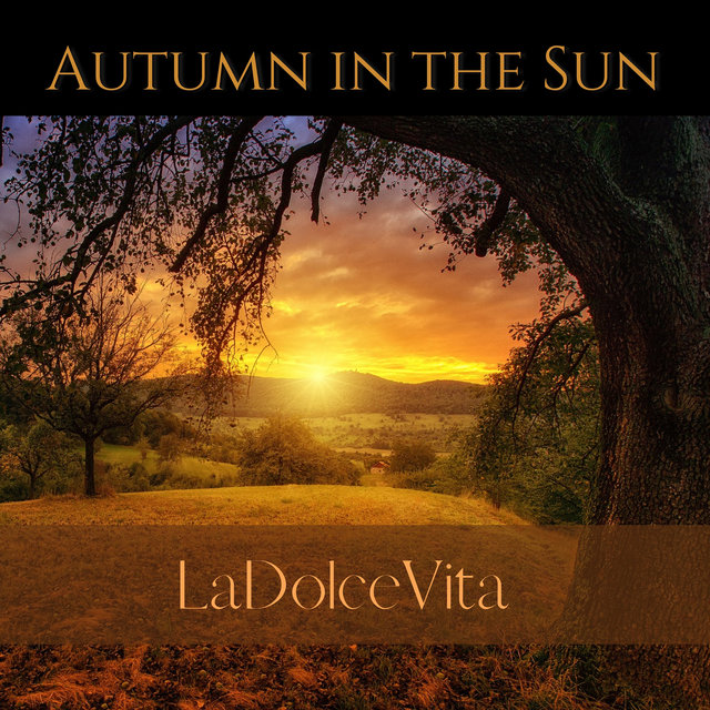 Autumn in the Sun