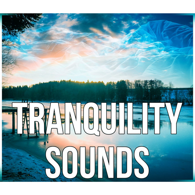 Tranquility Sounds - Nature Sounds for Sleep, Deep Relaxation with Calm Background Music