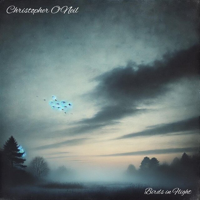 Birds in Flight EP
