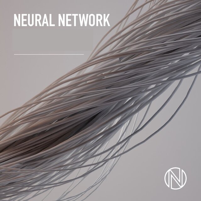 Neural Network
