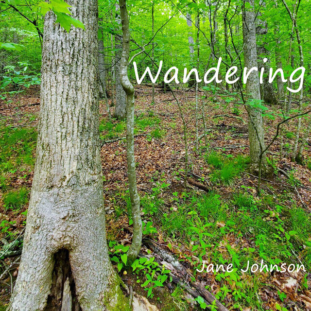 Wandering