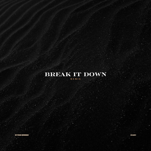Break It Down (Remix)