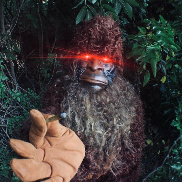 SKUNK APE