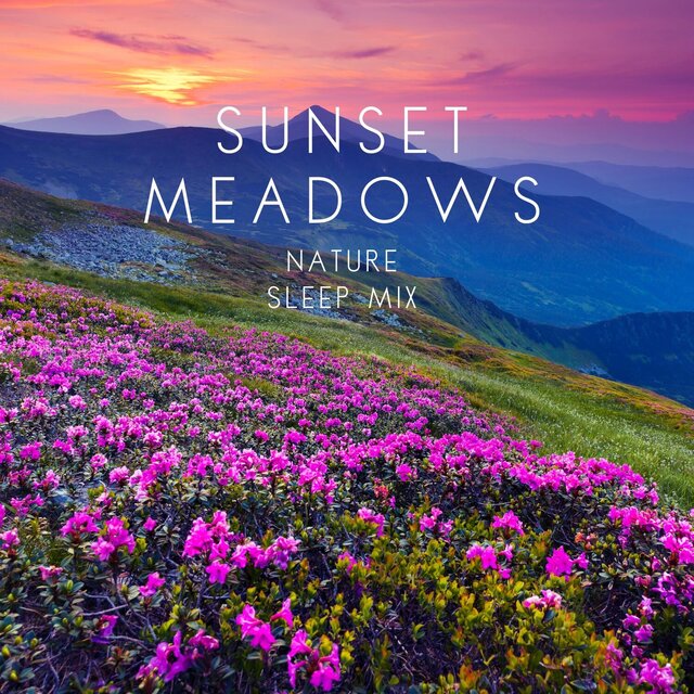 Sunset Meadows Nature (Sleep Mix)