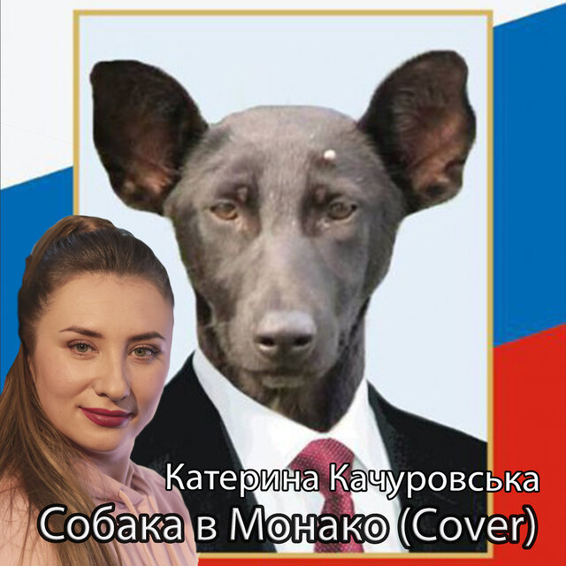 Собака в монако