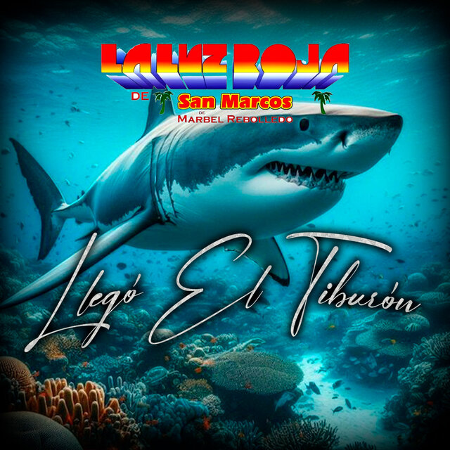 Llego El Tiburon