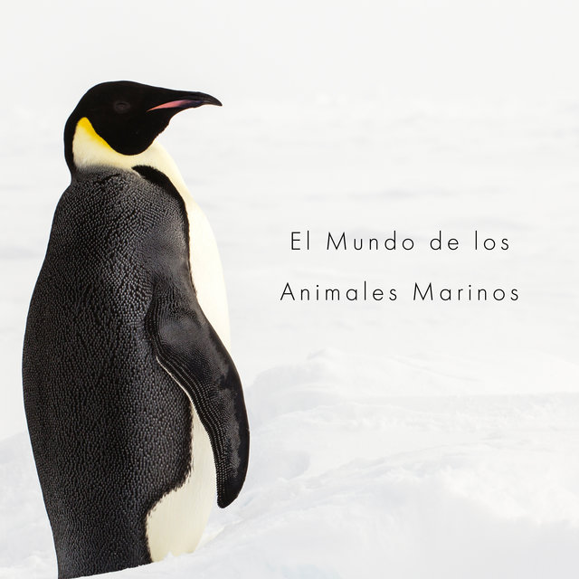 El Mundo de los Animales Marinos - Sonidos de Delfines, Pingüinos y Leones Marinos y Más para un Sueño Tranquilo