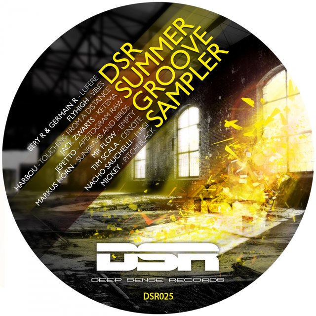 DSR Groove Summer Sampler