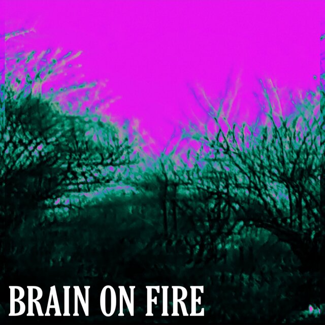 brain on fire
