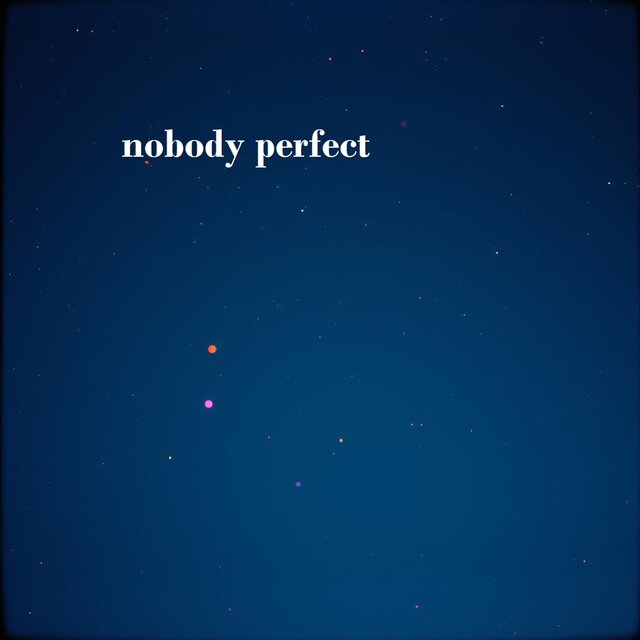 nobody perfect