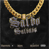 Saldo Saldado