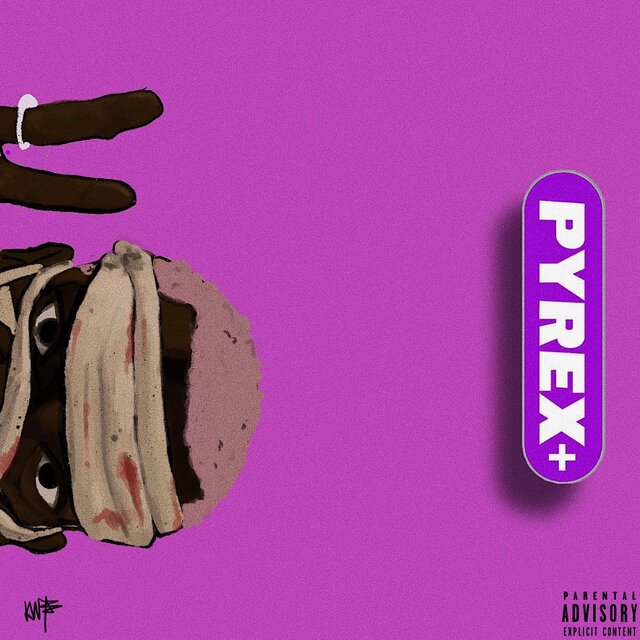 Pyrex Plus