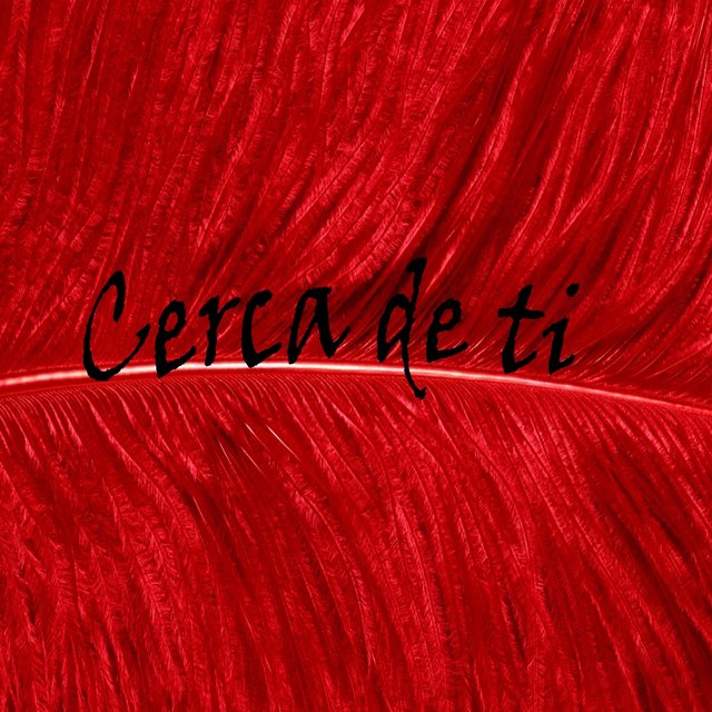 Cerca de Ti