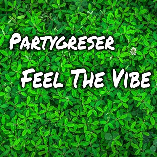 Feel the Vibe