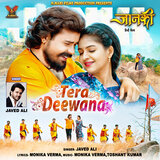 Tera Deewana