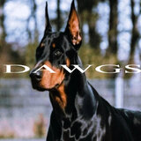 Dawgs