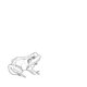 Cover art for album Bull Frogs Croon (Instrumental) by Aoife O'Donovan, Teddy Abrams
