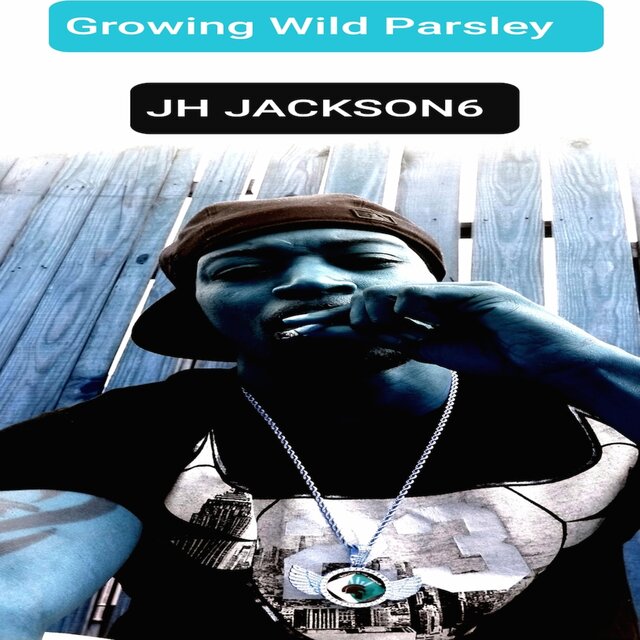 Growing Wild Parsley