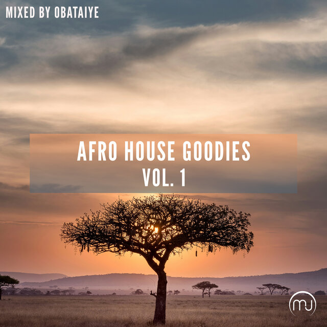 Afro House Goodies Vol. 1 (Mixed by Obataiye)