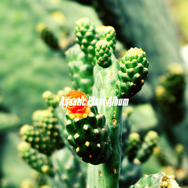 Aquatic Plant Album