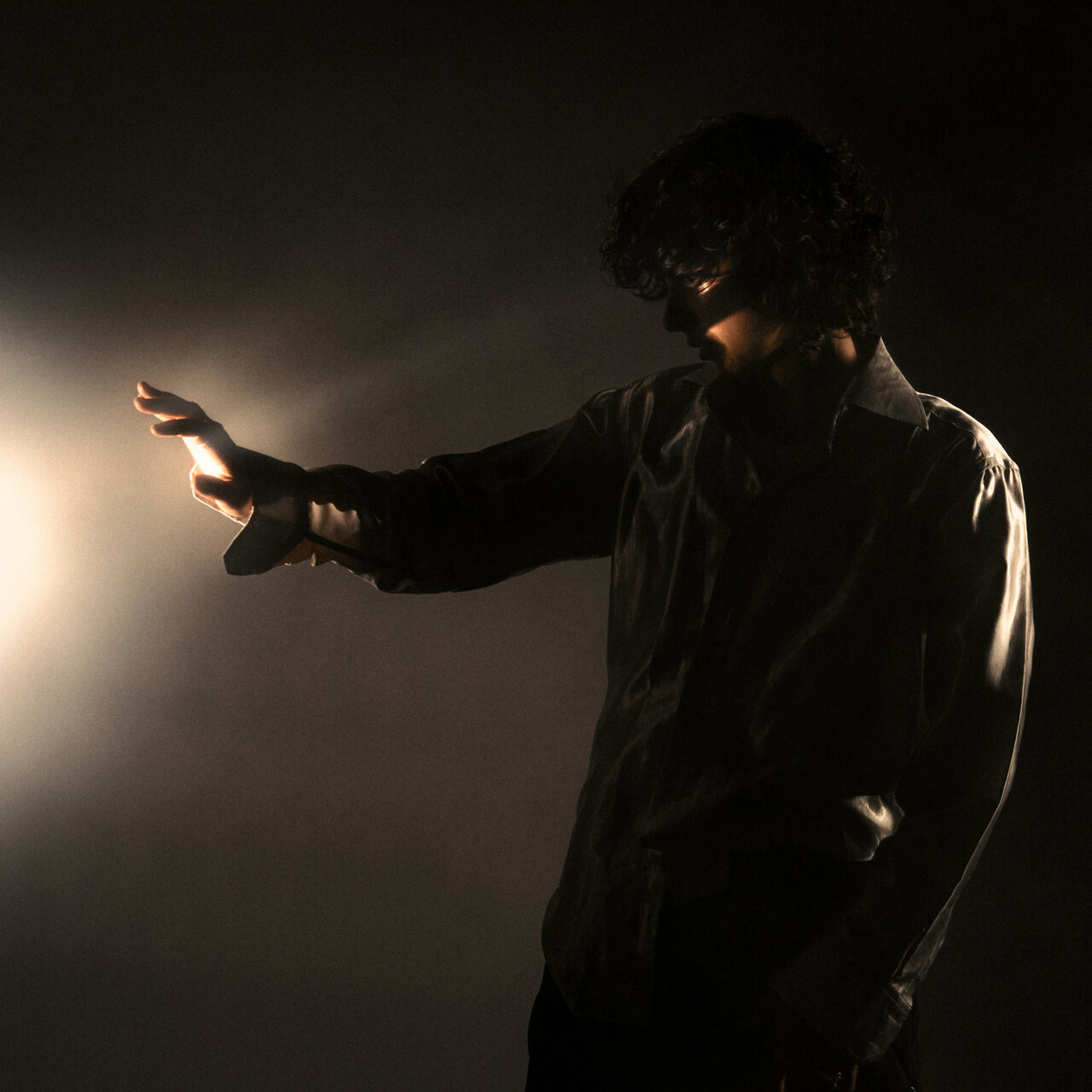 Carla Wehbe Dark In The Light cover artwork