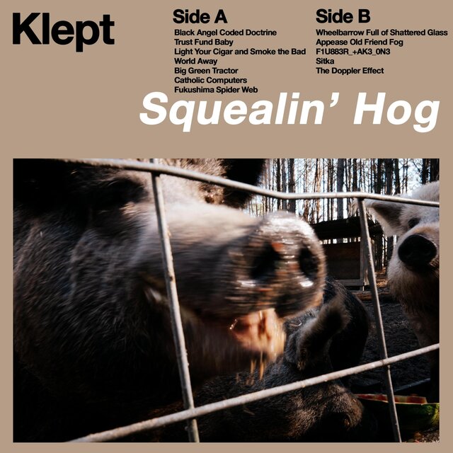 Squealin' Hog