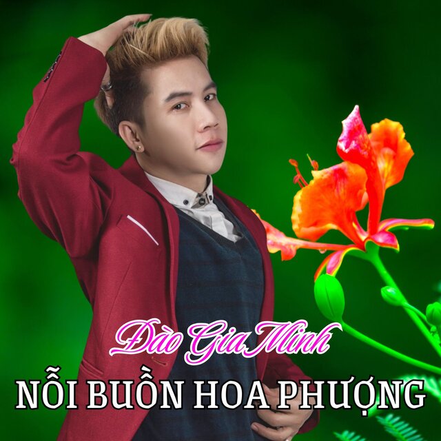 Nỗi Buồn Hoa Phượng