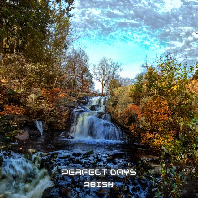 Perfect Days (Deluxe)