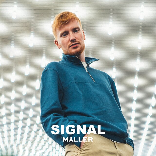 Signal