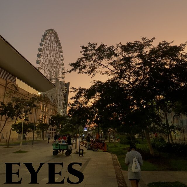 Eyes