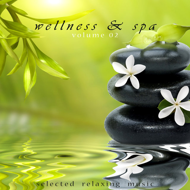 Wellness & Spa Volume 2