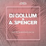 In the Shadows 2k19 (DJ Gollum Psy Radio Edit)