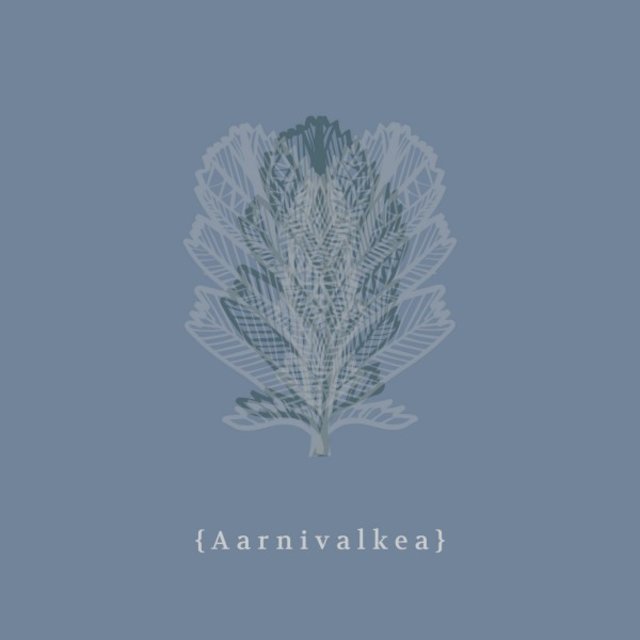 Aarnivalkea