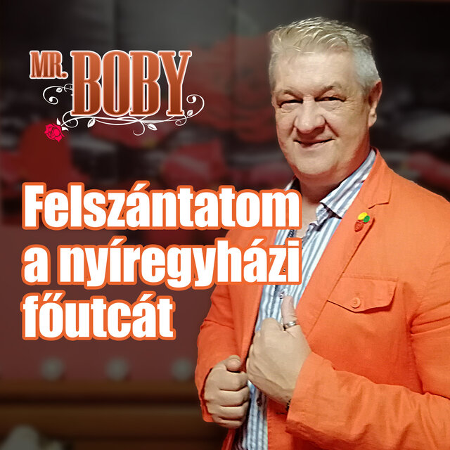 Felszántatom a nyíregyházi főutcát