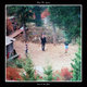 Cover art for album Low in the Dust by Fell To Low