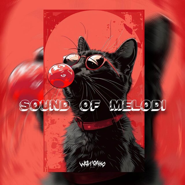 SOUND OF MELODI