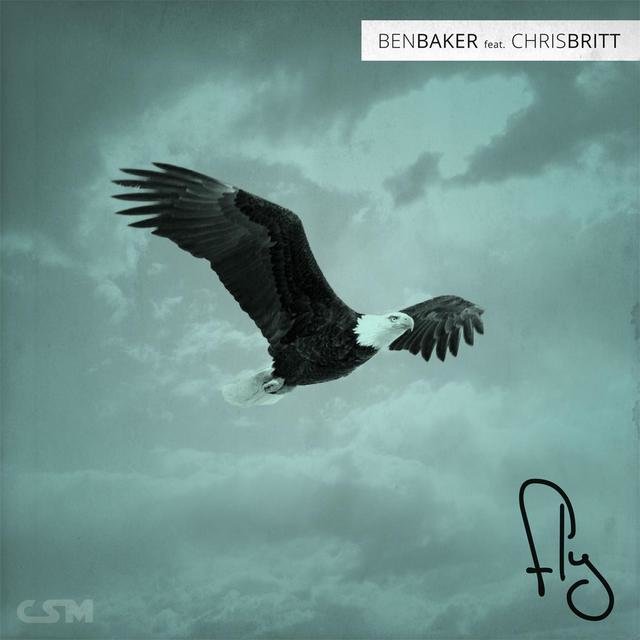 Fly (feat. Chris Britt)
