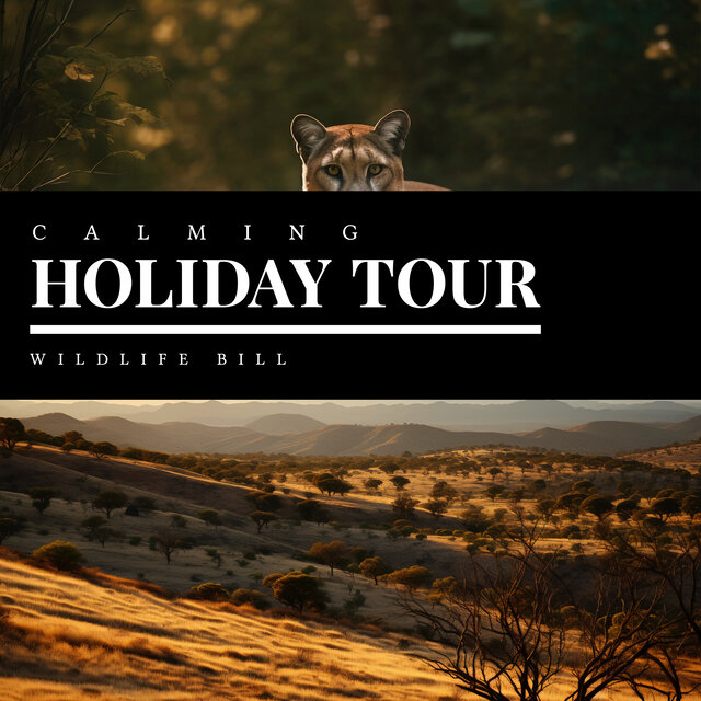 Calming Holiday Tour